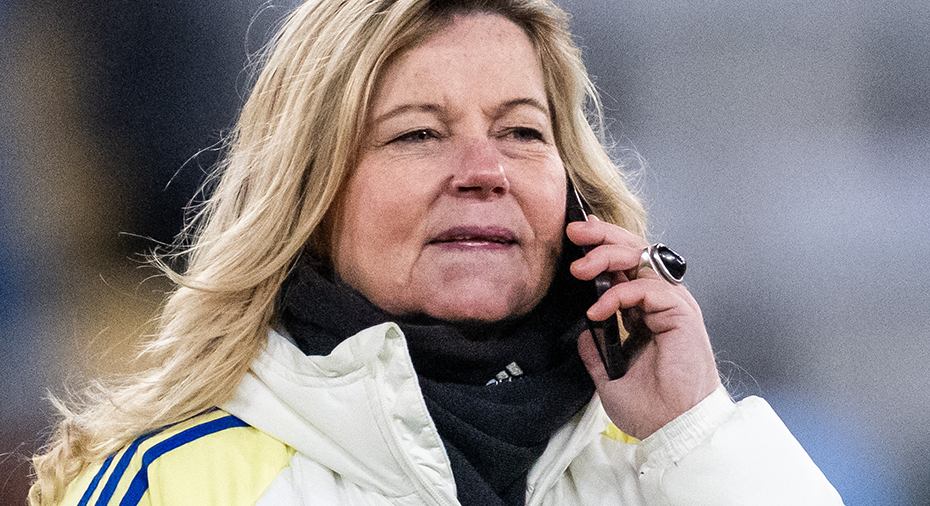 Sverige Fotboll: Marika Domanski Lyfors drabbad av hjärntumör
